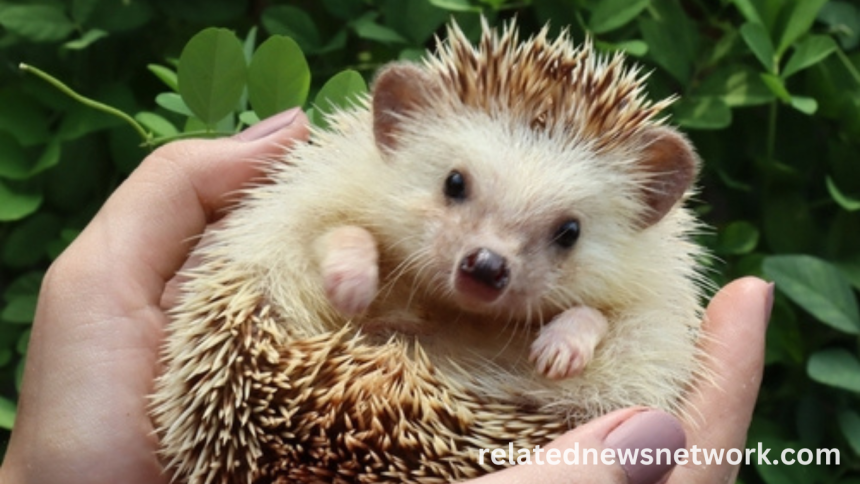 20 of the Most Adorable Animals To Help Make Anyone's Day