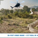 50-Foot Congo Snake – Is It Real or a Hoax?