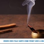Where Does Palo Santo Come From? Uses & Healing Benefits