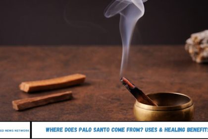 Where Does Palo Santo Come From? Uses & Healing Benefits