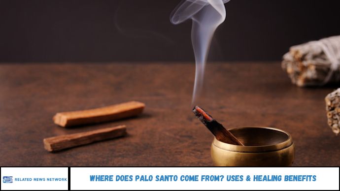 Where Does Palo Santo Come From? Uses & Healing Benefits
