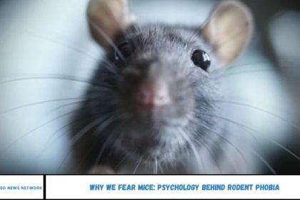 Why We Fear Mice: Psychology Behind Rodent Phobia