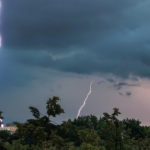 South Florida's Rainy Season Accelerates Demand for Professional Mold Remediation