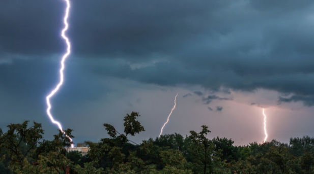 South Florida's Rainy Season Accelerates Demand for Professional Mold Remediation