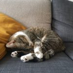 person sleeping peacefully in dark bedroom