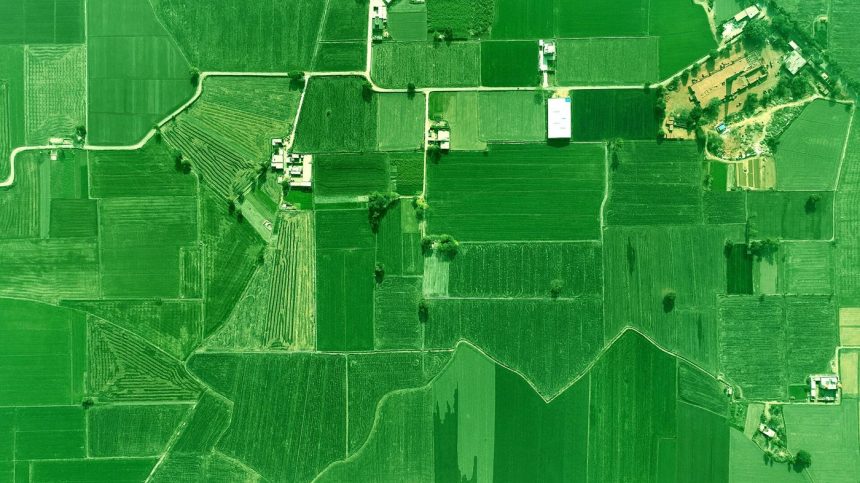 Aerial view of farmland fields
