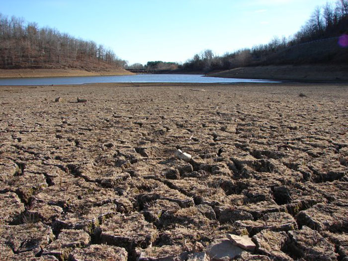A crop field under a hot, dry sky