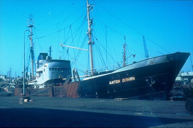 A research vessel at sea under open skies