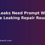 Water Leaks Need Prompt Washing Machine Leaking Repair Round Rock Help