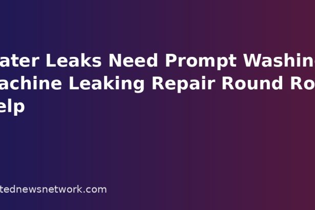 Water Leaks Need Prompt Washing Machine Leaking Repair Round Rock Help